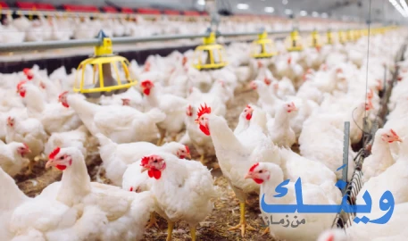 نور الدين طميزي